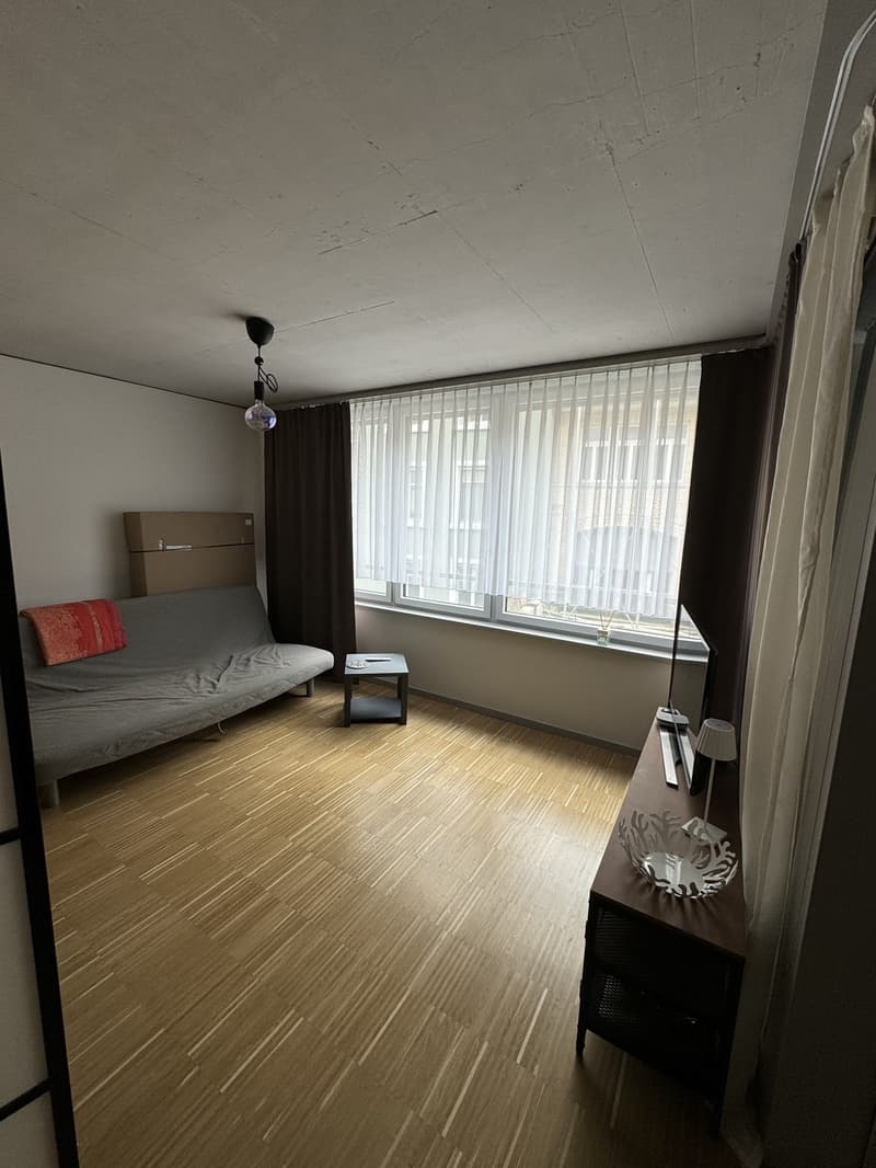 Sous-location temporaire d'un appartement de 1,5 pièces près de la gare de Zurich (7)