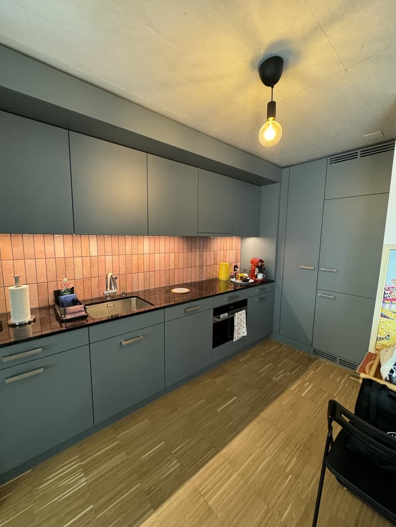 Sous-location temporaire d'un appartement de 1,5 pièces près de la gare de Zurich (6)