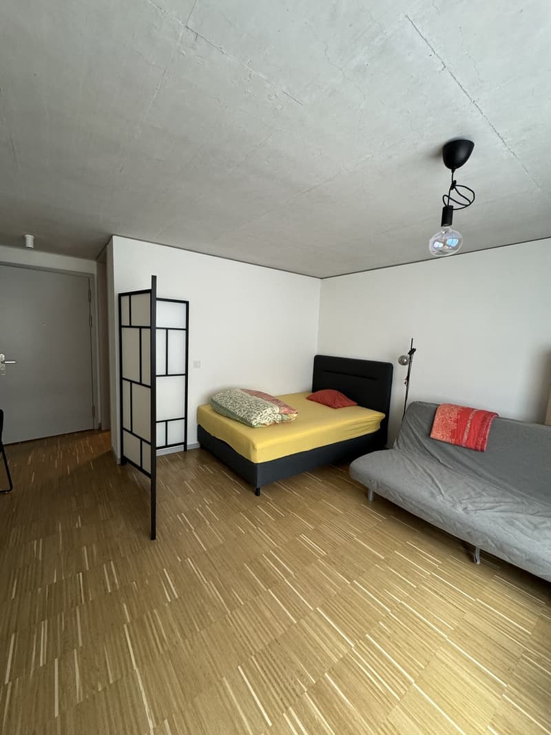 Sous-location temporaire d'un appartement de 1,5 pièces près de la gare de Zurich (8)