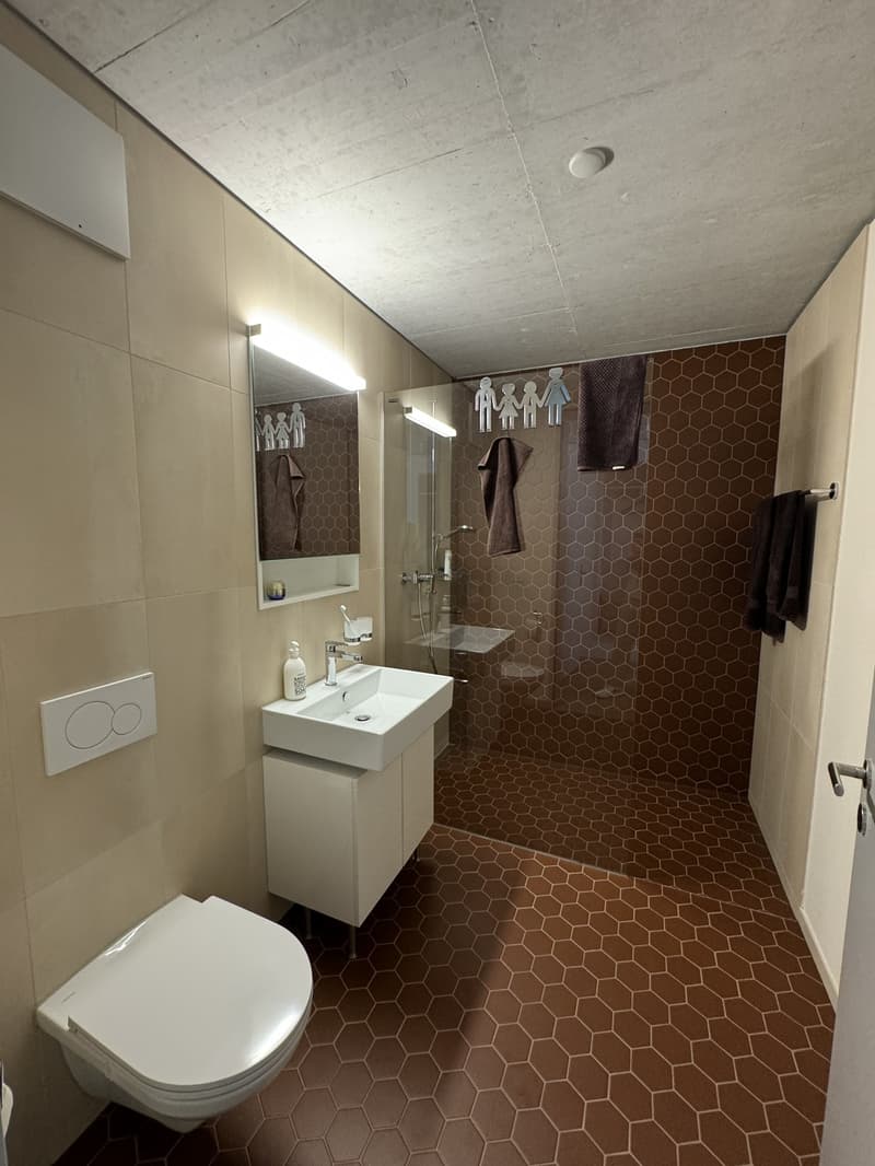 Sous-location temporaire d'un appartement de 1,5 pièces près de la gare de Zurich (4)