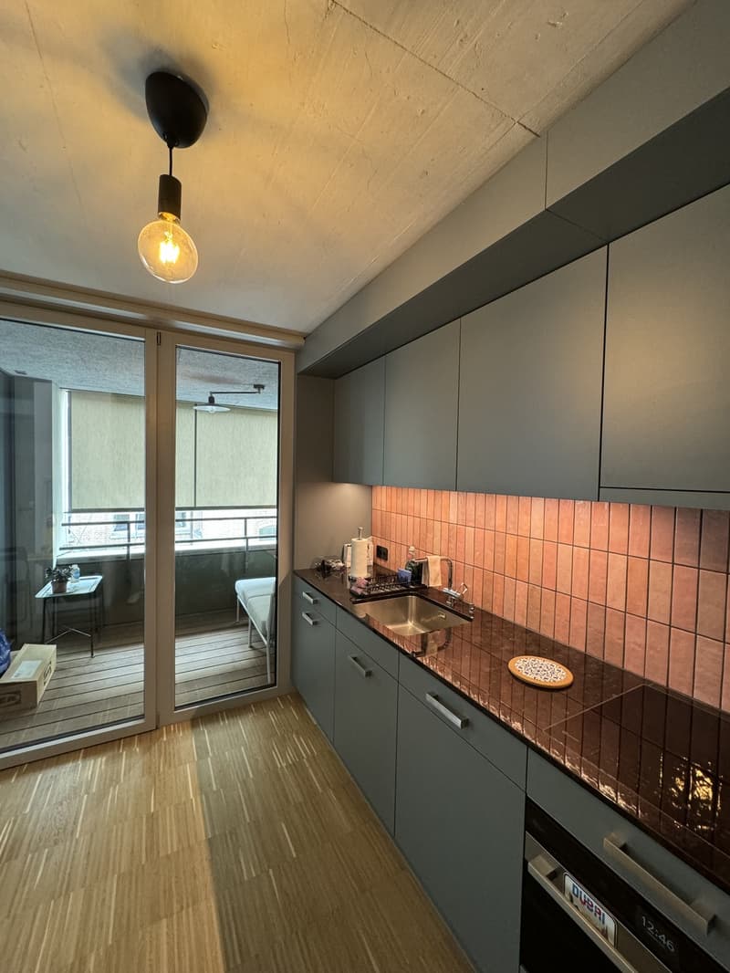 Sous-location temporaire d'un appartement de 1,5 pièces près de la gare de Zurich (5)