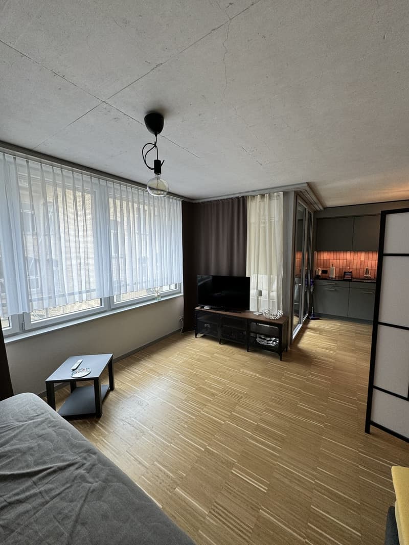 Sous-location temporaire d'un appartement de 1,5 pièces près de la gare de Zurich (9)