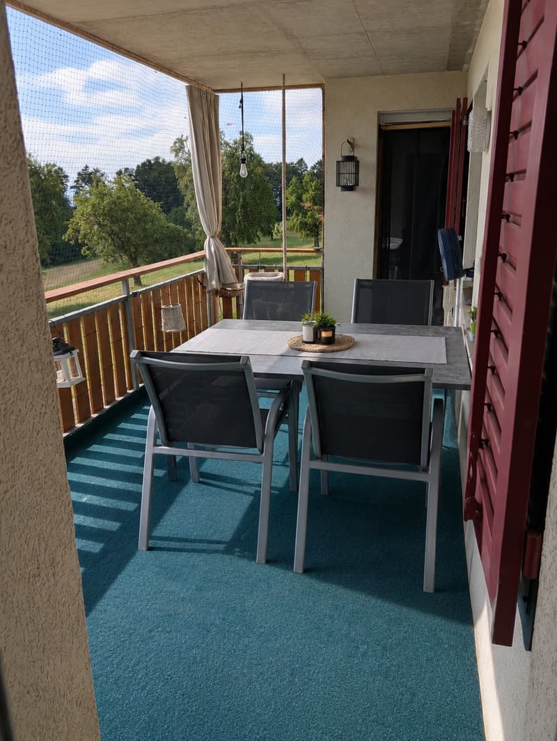Charmant appartement 5,5 pièces sur une ferme idyllique (3)