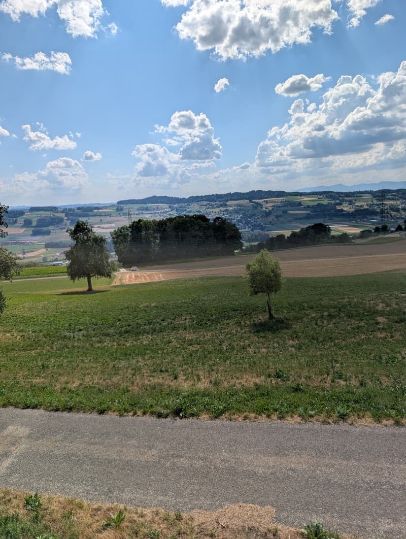 Charmant appartement 5,5 pièces sur une ferme idyllique (2)