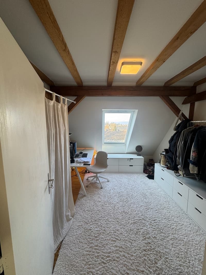 3.5-Zi-Dachwohnung Maisonette Kreis 6 Milchbuck Irchelpark inkl. Parkplatz (6)