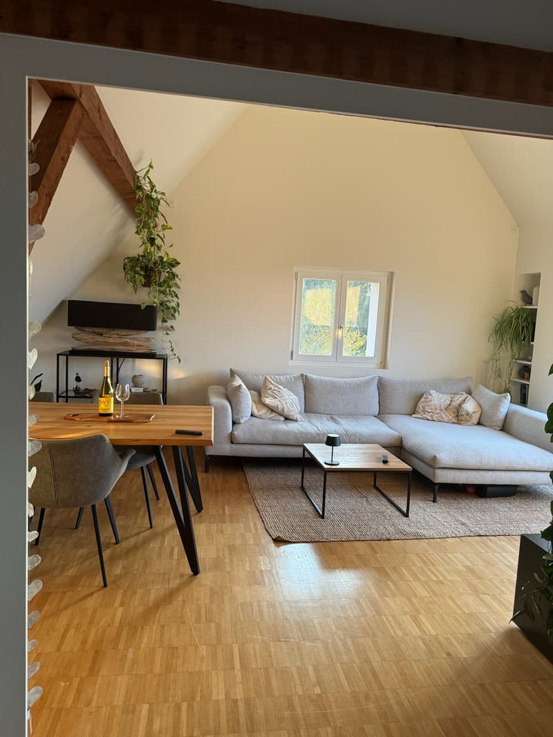 3.5-Zi-Dachwohnung Maisonette Kreis 6 Milchbuck Irchelpark inkl. Parkplatz (3)