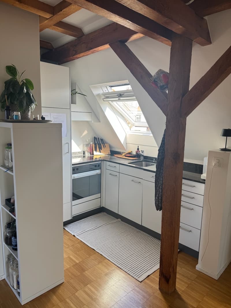 3.5-Zi-Dachwohnung Maisonette Kreis 6 Milchbuck Irchelpark inkl. Parkplatz (7)