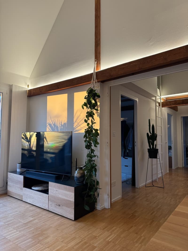 3.5-Zi-Dachwohnung Maisonette Kreis 6 Milchbuck Irchelpark inkl. Parkplatz (2)
