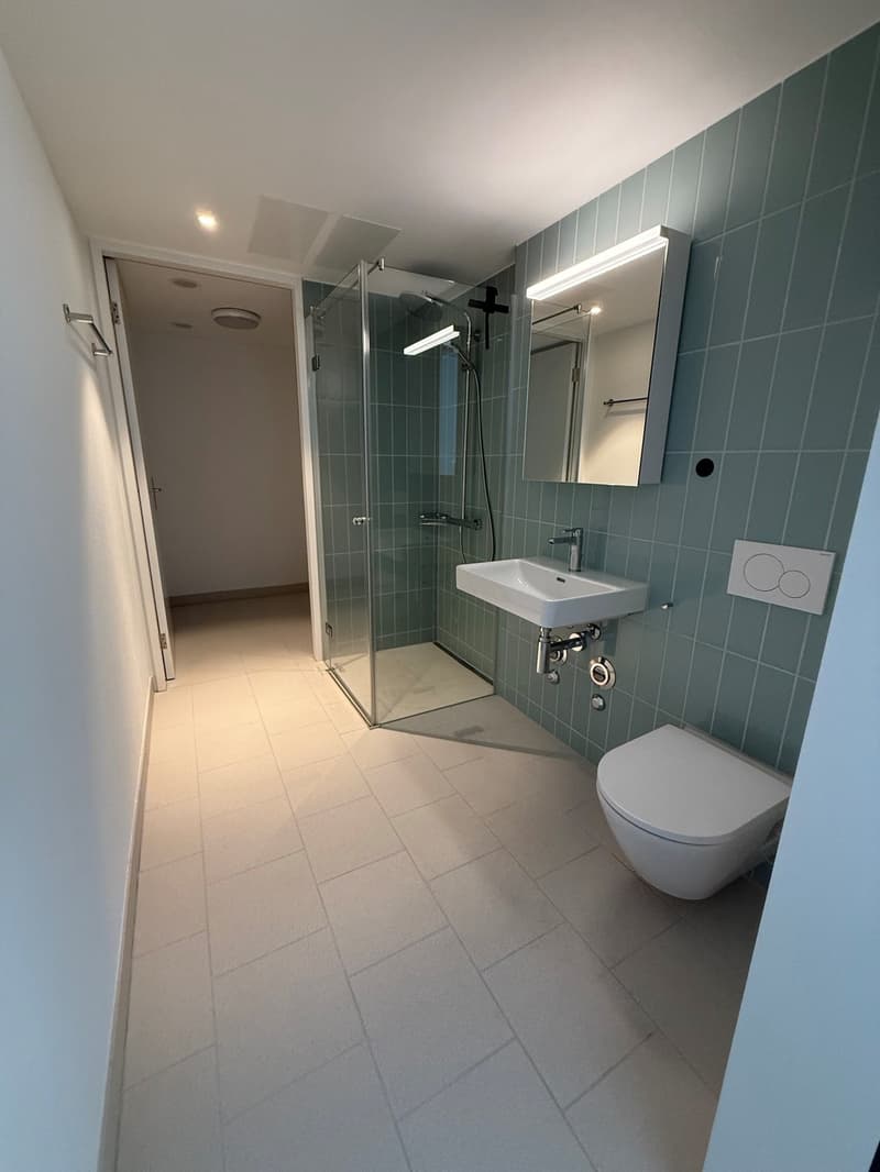 [ Sous-location ] Appartement 2.5 pièces à Zurich Stettbach (2160 CHF/mois) (5)