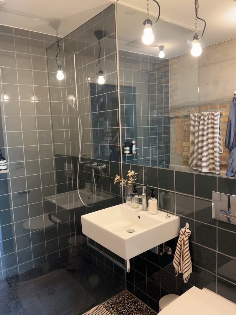 Lichtdurchflutetes 1.5-Zimmer Loft mit Dachterrasse (8032 Zürich) (5)