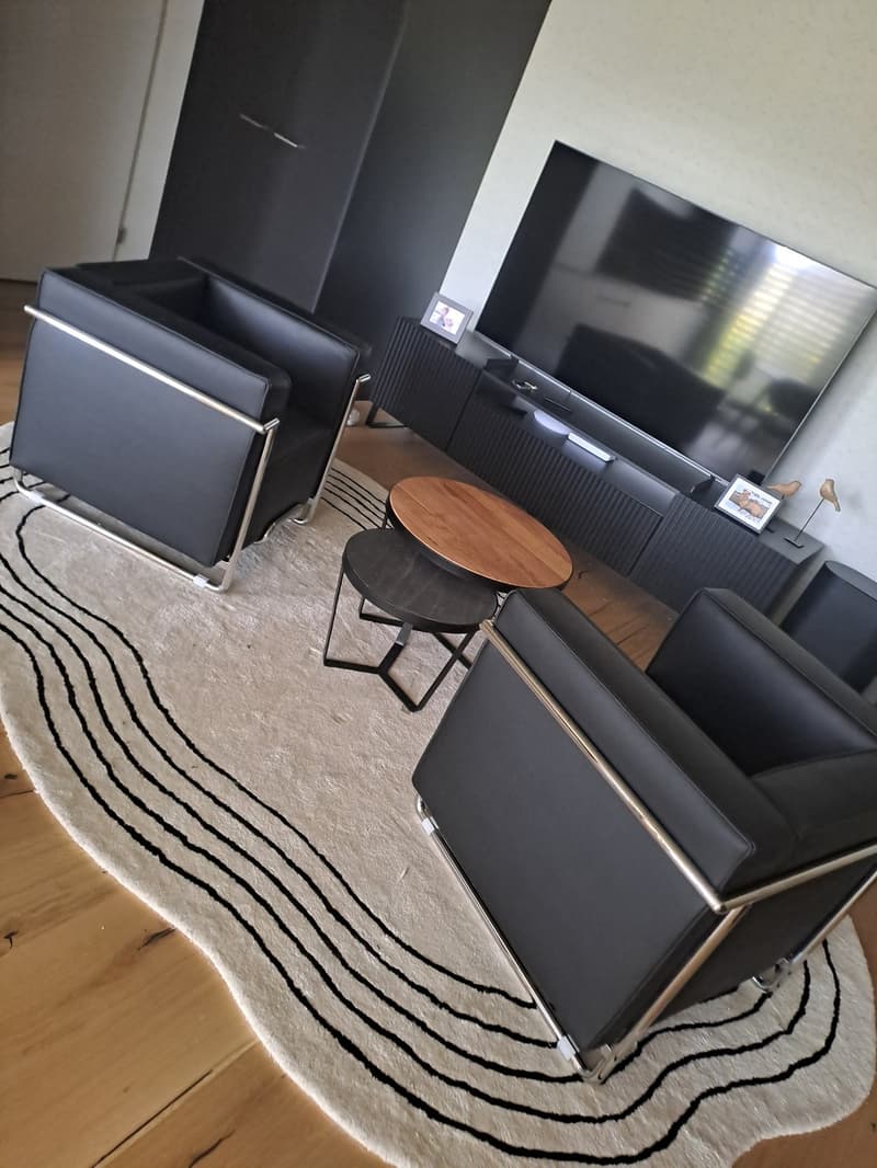 SPECIAL OFFER: CHF 1'295 CASHBACK All-Inclusive & Furnished 50m² Flat, Pets OK (5)