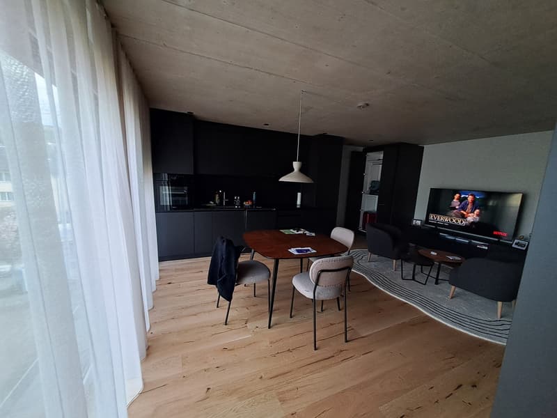 SPECIAL OFFER: CHF 1'295 CASHBACK All-Inclusive & Furnished 50m² Flat, Pets OK (3)