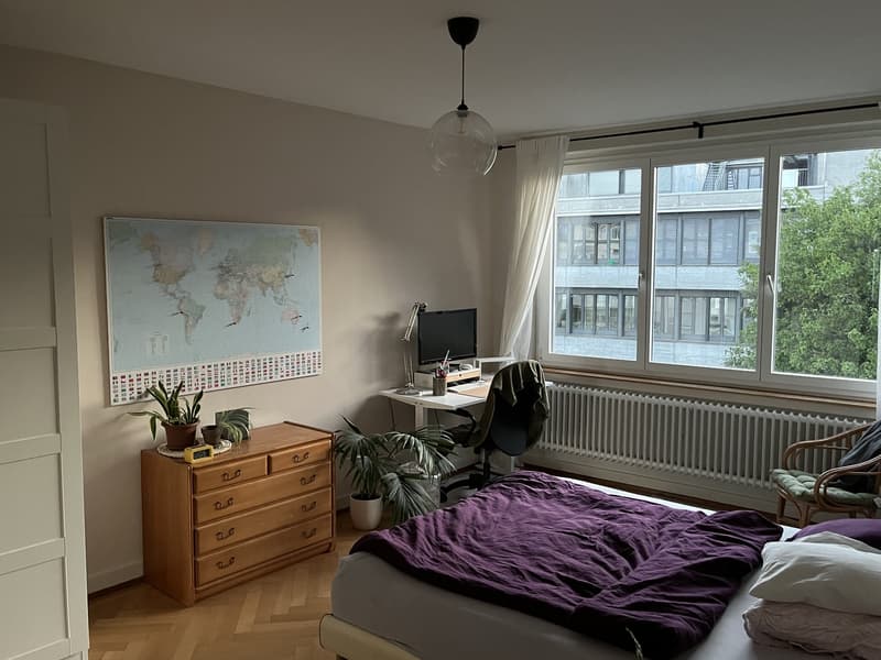 Août à Berne (appartement 2 pièces spacieux et lumineux dans le quartier de Mattenhof) (4)