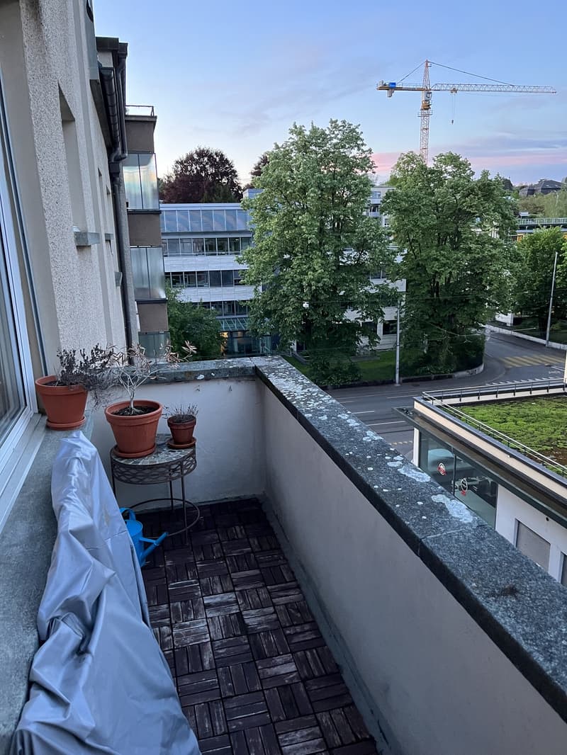 Août à Berne (appartement 2 pièces spacieux et lumineux dans le quartier de Mattenhof) (5)