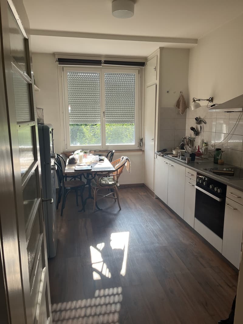 Août à Berne (appartement 2 pièces spacieux et lumineux dans le quartier de Mattenhof) (2)