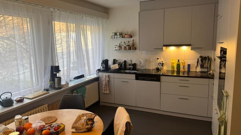 Ampio appartamento 165m2 cerca coinquilino (5)