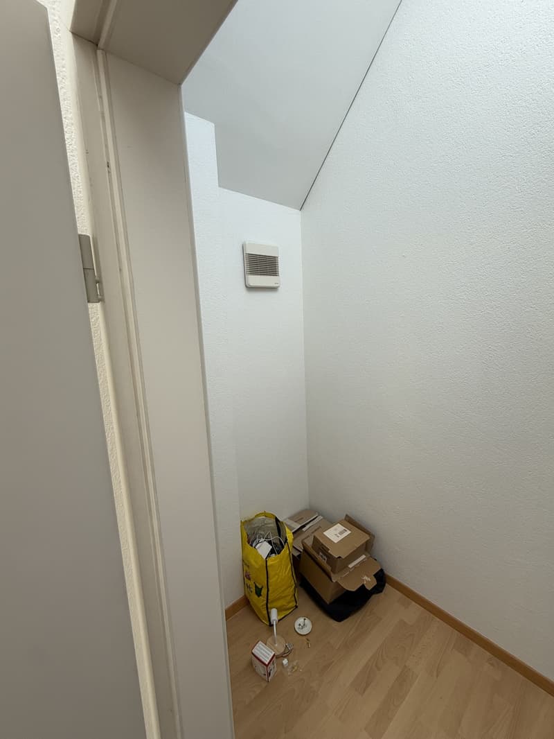 Appartamento triplex da sogno 3.5 locali, 2 minuti a piedi dalla stazione di Baden (8)