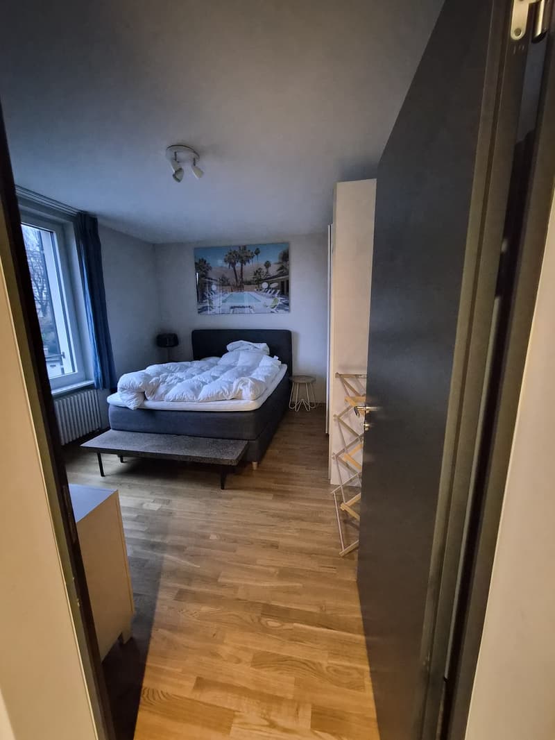 Modernes 2-Zimmer-Apartment (3)