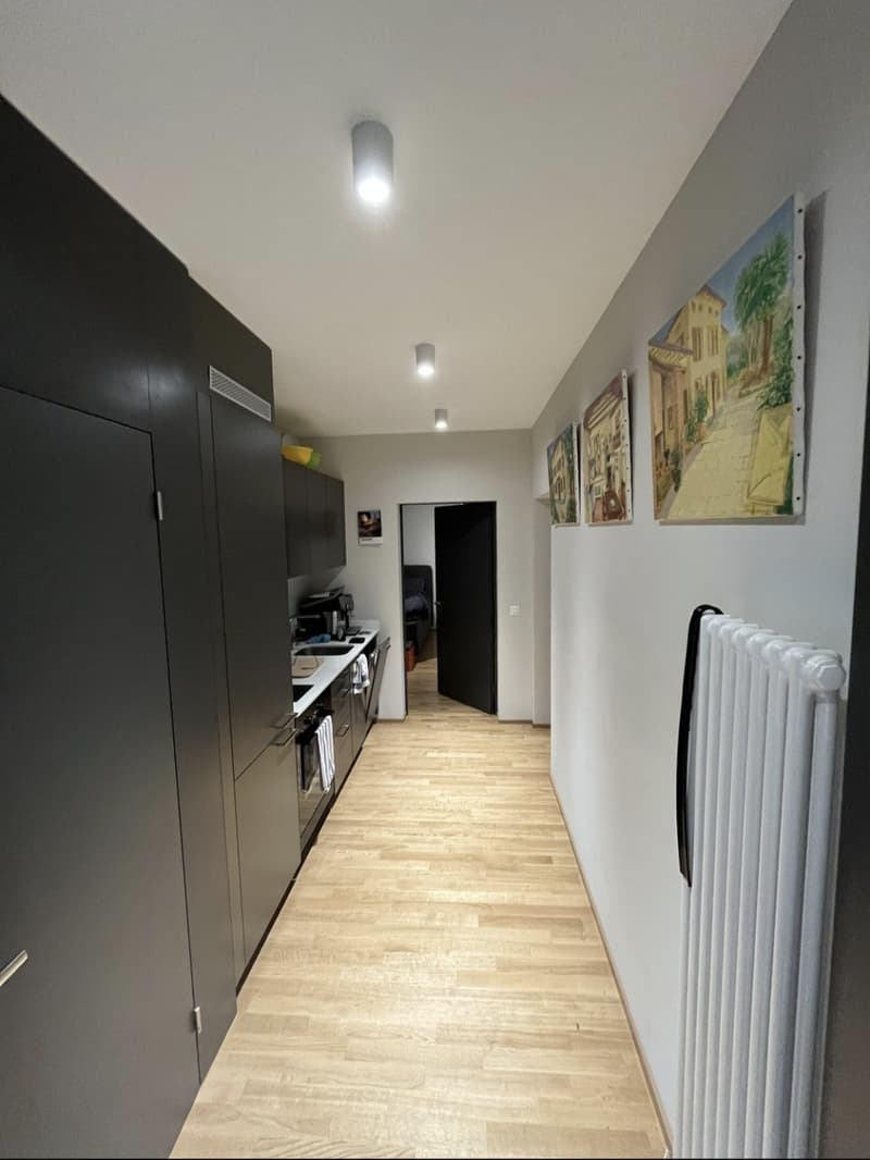 Modernes 2-Zimmer-Apartment (2)