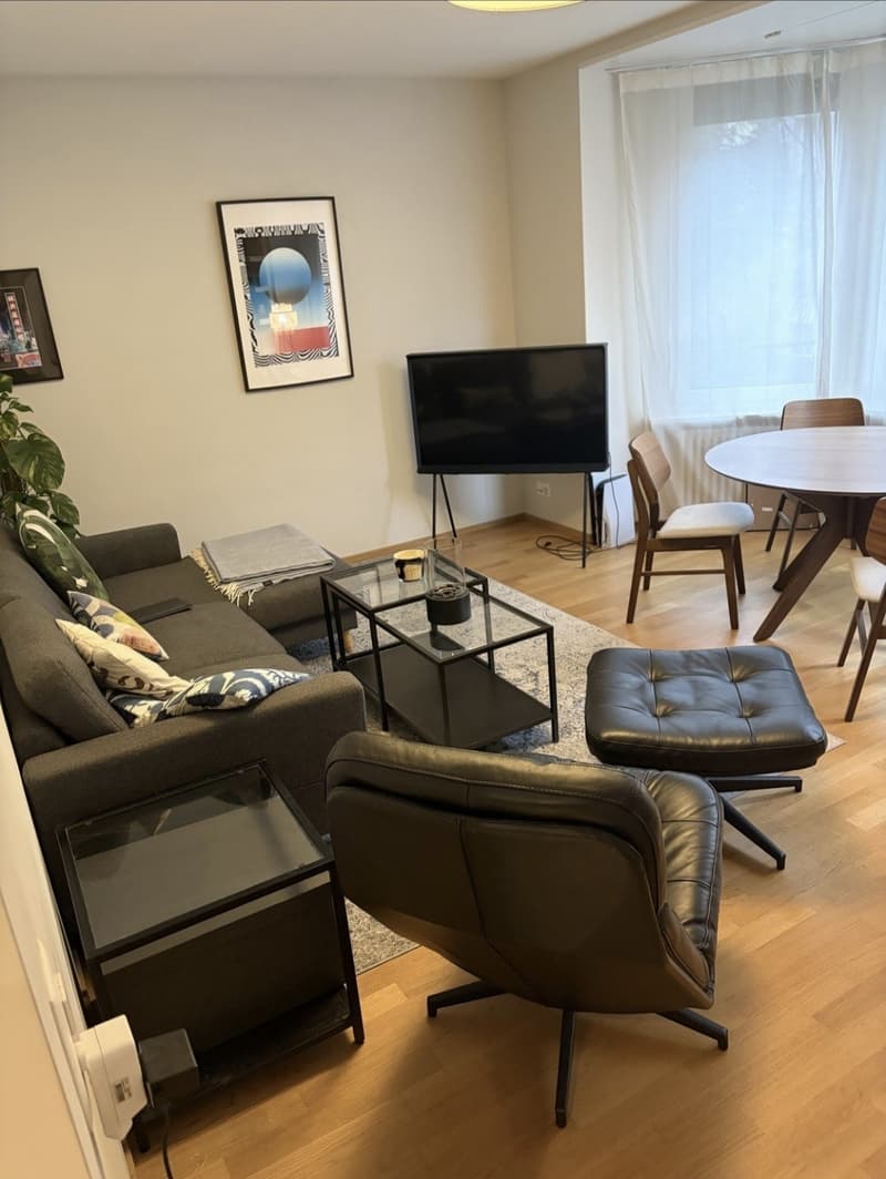 Modernes 2-Zimmer-Apartment (1)