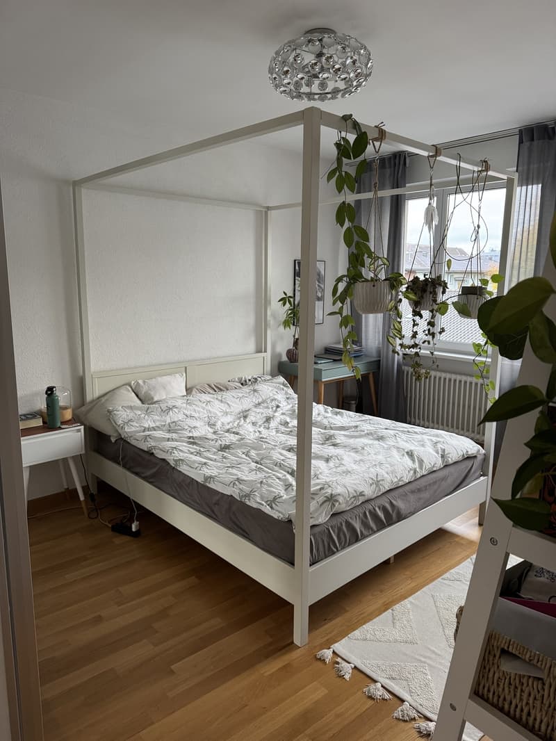 Untermieter für 1Monat gesucht! (3)