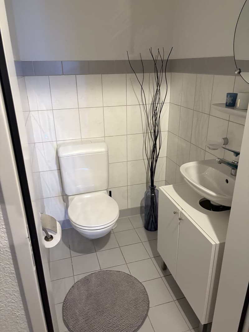 Appartamento di 4 ½ locali, 6232 Geuensee (3)