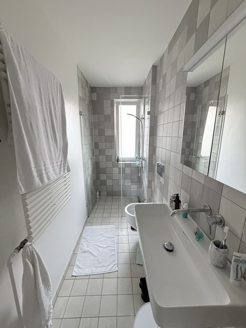 Wohnung in ZH (2)