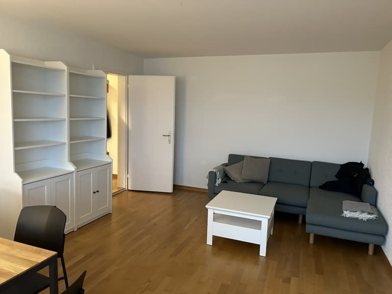 Appartamento di 2 camere con vista, disponibile da metà agosto (1)
