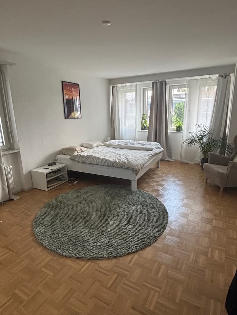 Appartamento di 4,5 locali luminoso con ampio balcone nel popolare quartiere di Mattenhof (5)