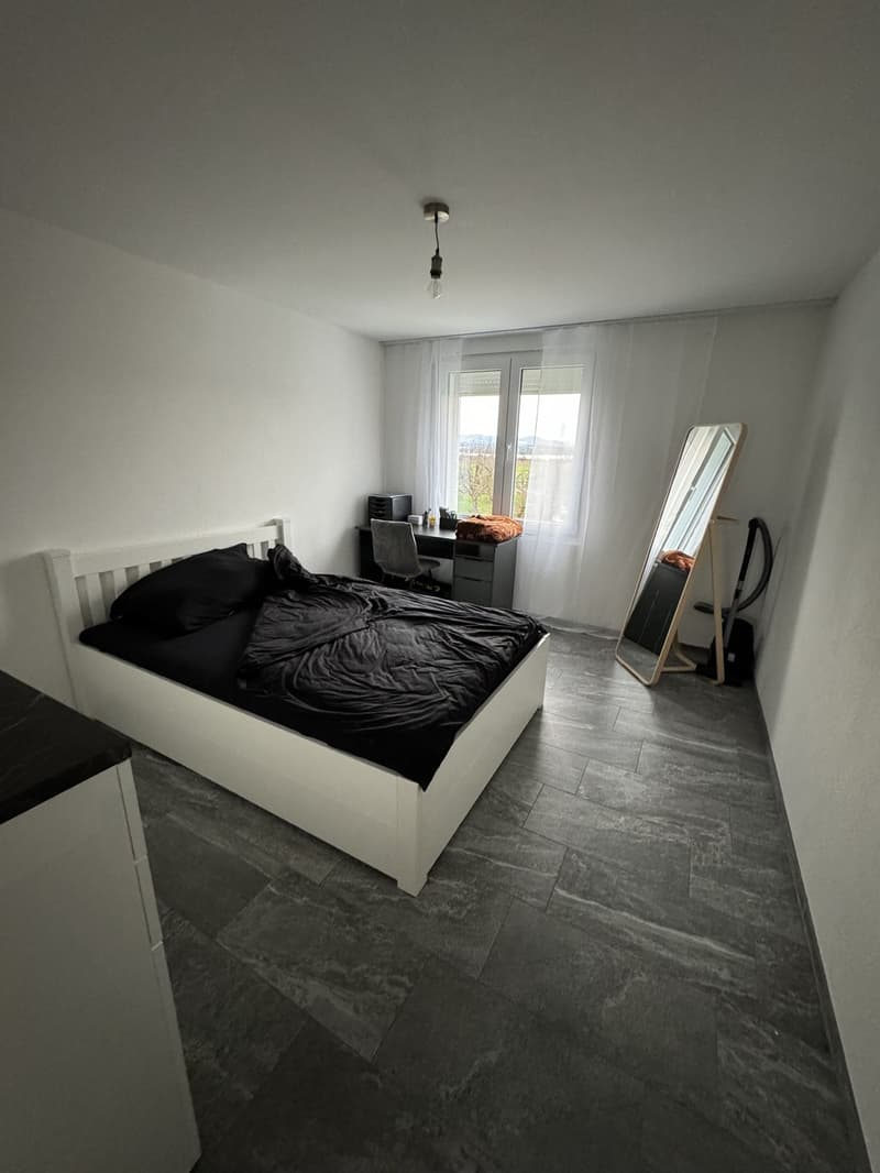 2 ½ locali appartamento, 8117 Fällanden (2)