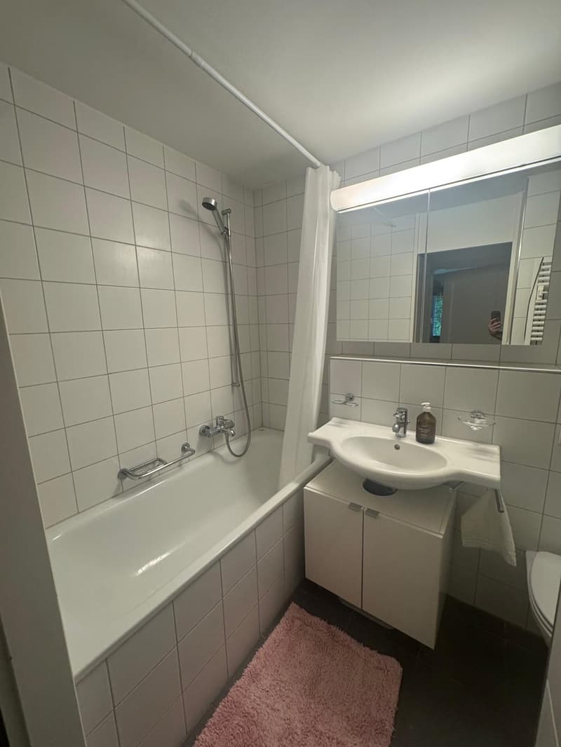 Möblierte 2-Zimmer-Wohnung für 2 Monate (AugustSeptember) (4)