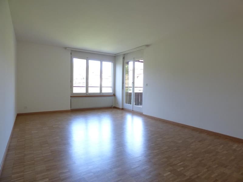 Appartamento familiare in una zona tranquilla (1)