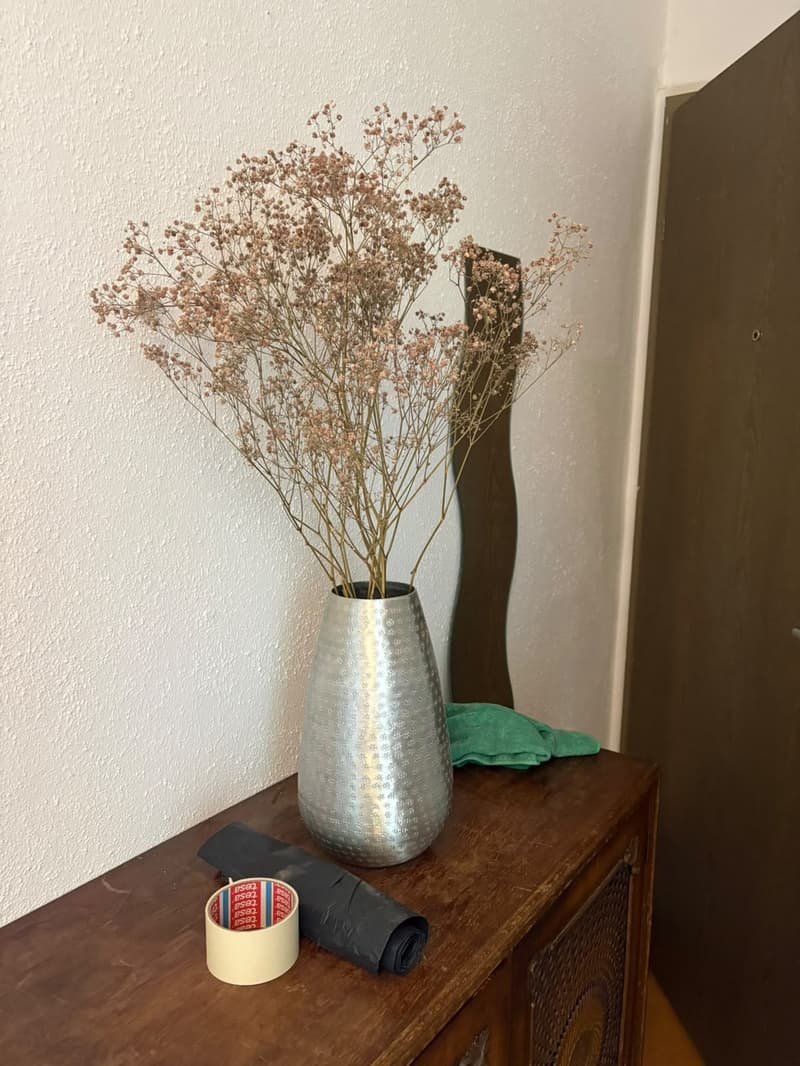 Charmante Altbauwohnung zentral gelegen (2)