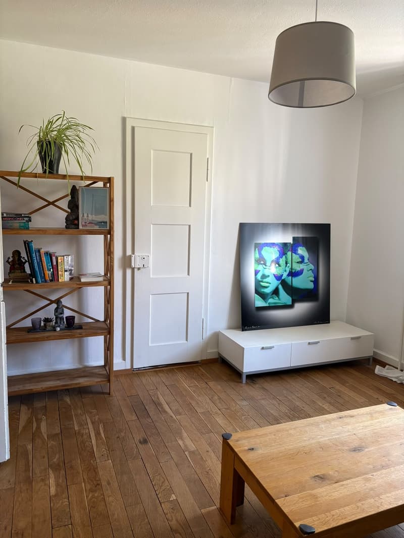 Charmante Altbauwohnung zentral gelegen (7)