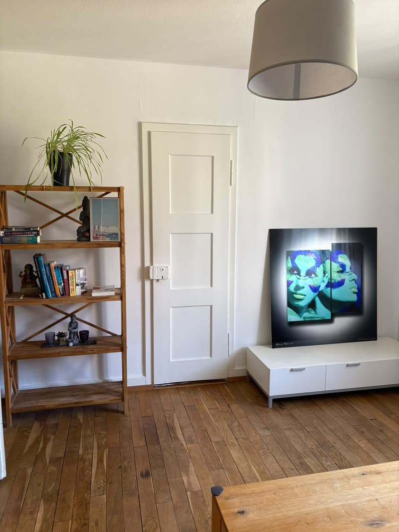 Charmante Altbauwohnung zentral gelegen (13)