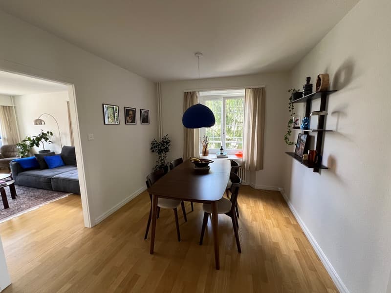 Chambre dans un joli appartement partagé 2 personnes à Oerlikon (3)