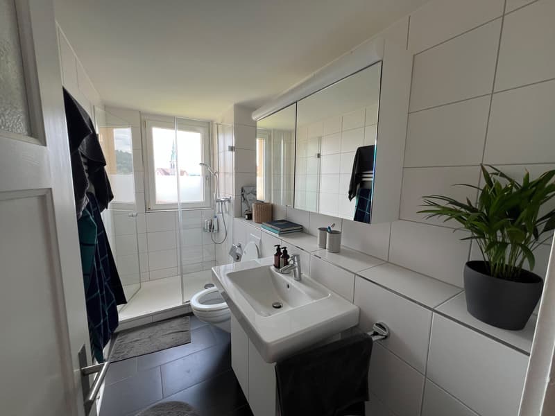 Chambre dans un joli appartement partagé 2 personnes à Oerlikon (5)