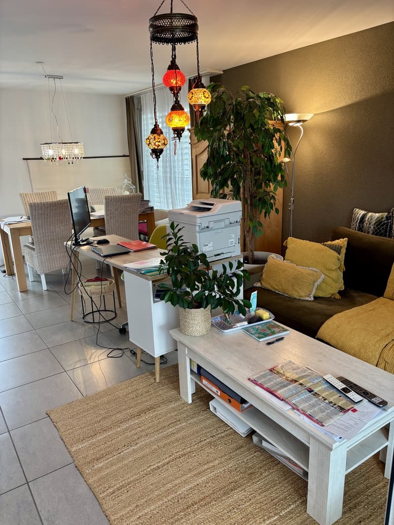 Appartamento attico 2,5 locali (10)