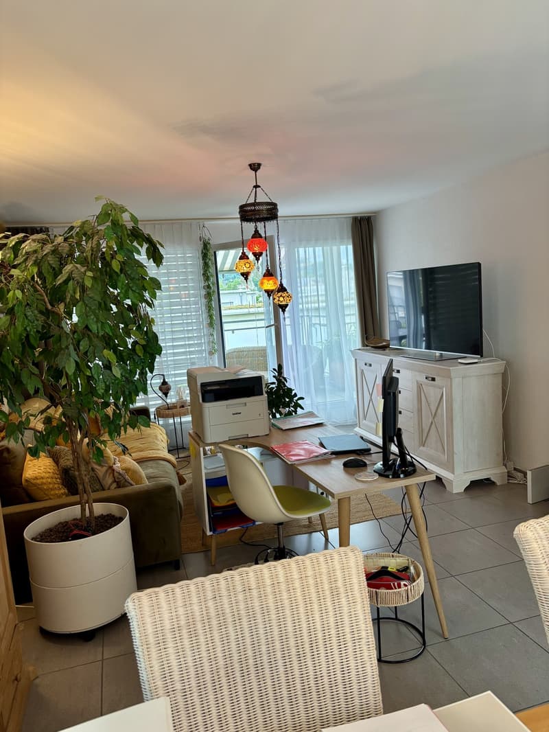 Appartamento attico 2,5 locali (1)