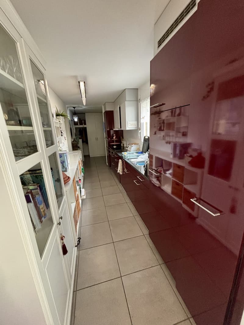 Appartamento attico 2,5 locali (6)