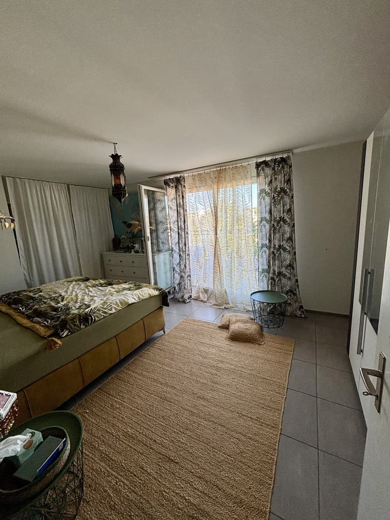 Appartamento attico 2,5 locali (3)
