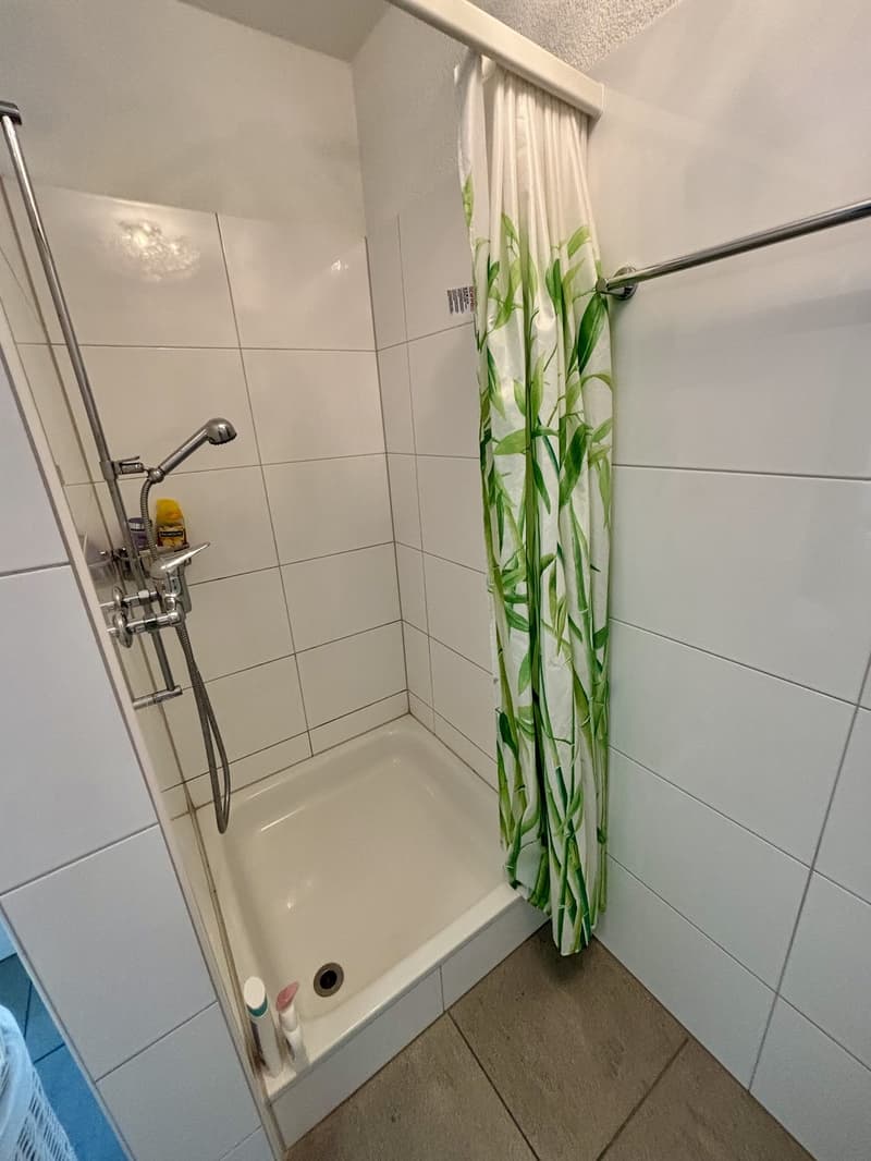 Appartamento attico 2,5 locali (11)