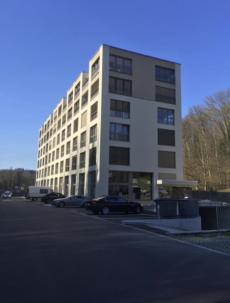 Vivere in città a Effretikon (8)