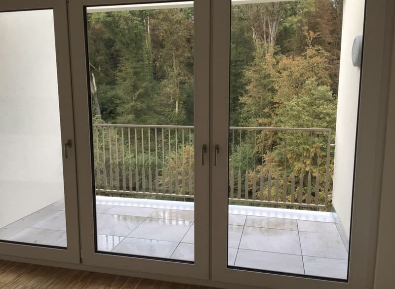 Vivere in città a Effretikon (2)