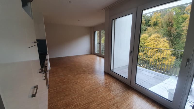 Vivere in città a Effretikon (1)