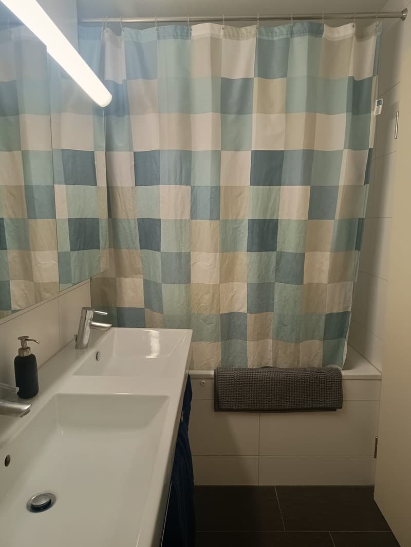 Spacious 4.5-room apartment with balcony in Dübendorf near Stettbach (6)