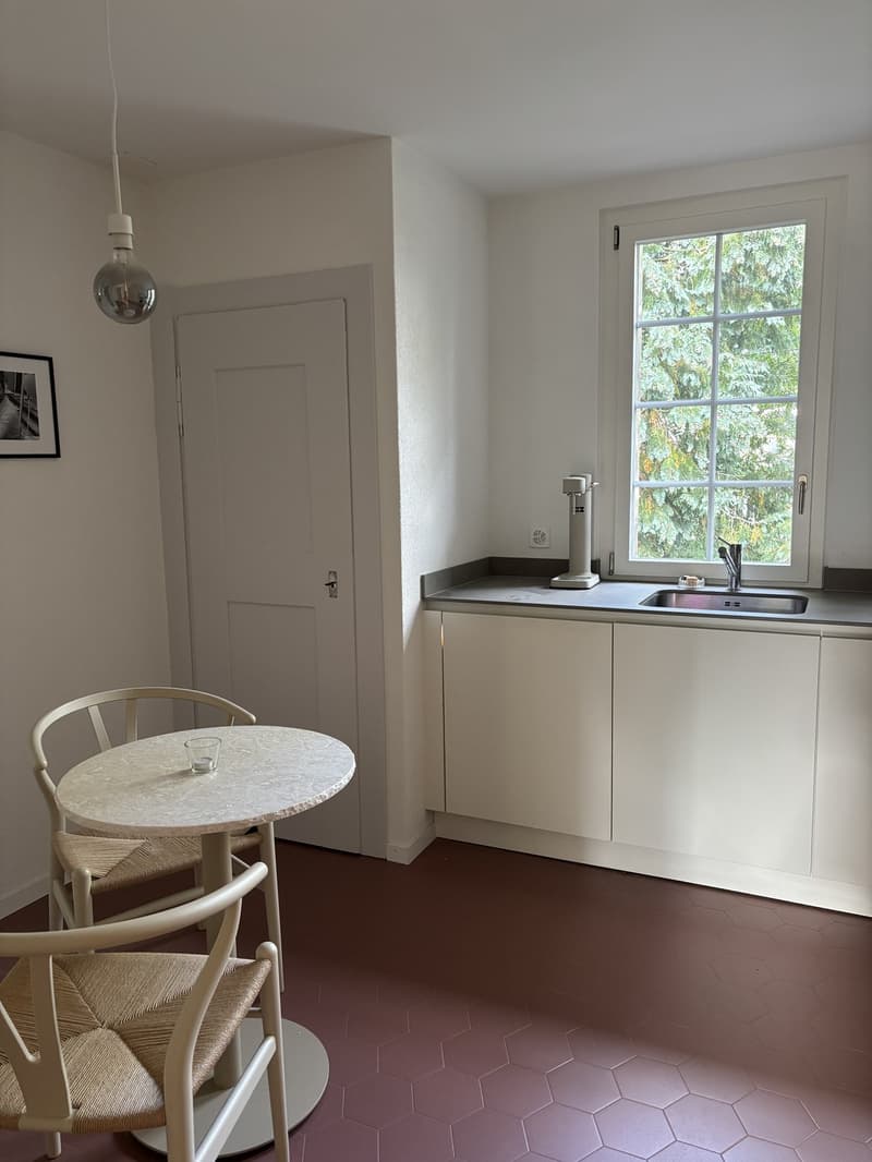 Möblierte 3.5-Zimmer-Wohnung in Zürich Enge ideal als Zweitwohnsitz oder Pied-à-terre (4)
