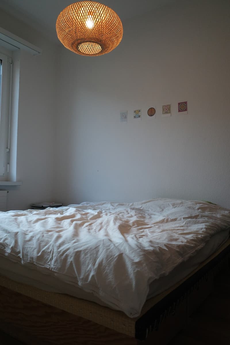 Möblierte 3,5-Zimmer-Wohnung zur Untermiete ab Mitte September bis Ende Jahr (3)