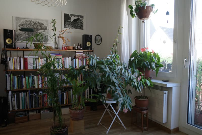 Möblierte 3,5-Zimmer-Wohnung zur Untermiete ab Mitte September bis Ende Jahr (2)