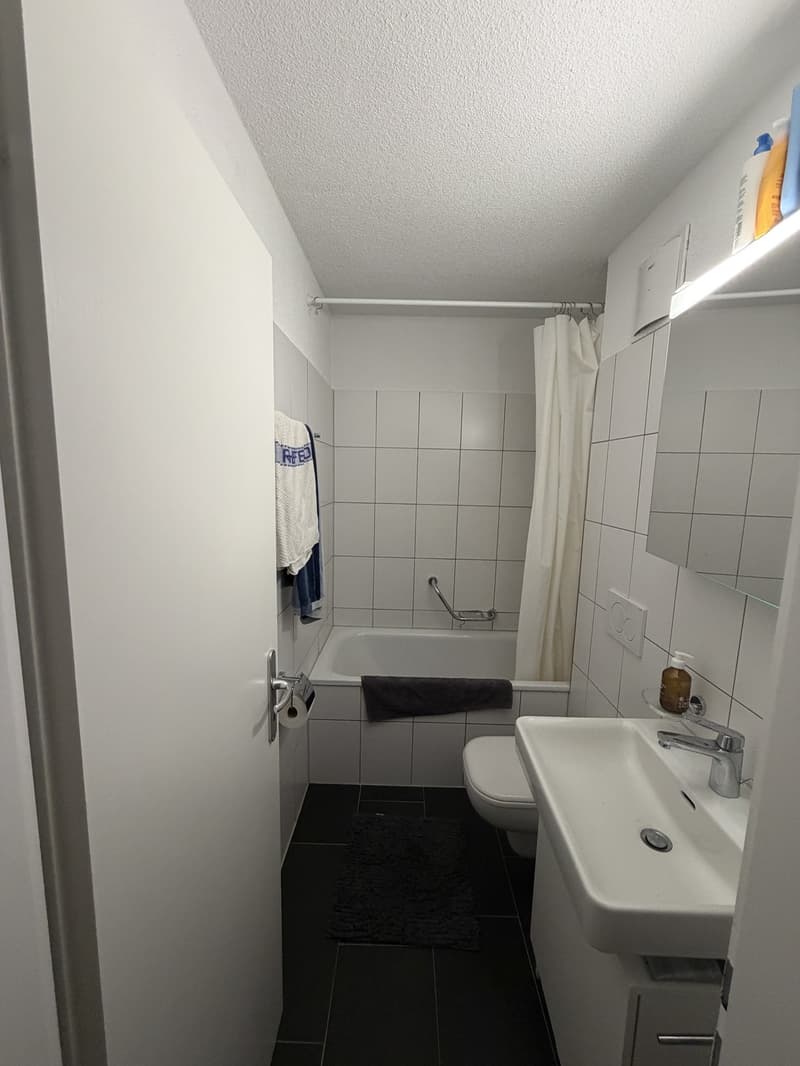 Vollmöblierte 3.5-Zimmer-Wohnung befristet von 1.11.26-Mitte April 2027. (6)